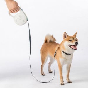 crreation by adan ציוד חיות מחמד קנה חבל לכלב שלך עם אפשרות לקצר ולהריך את החבל ולהחזיק בנוחות ביד